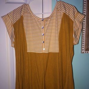 Lizard thicket top